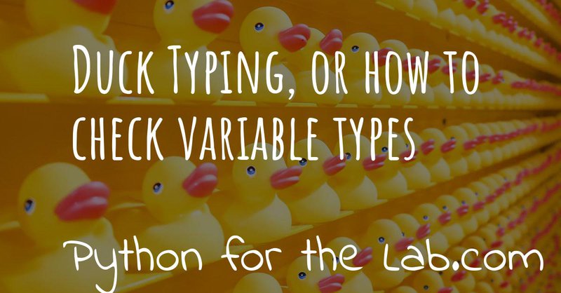 Duck Typing, or how to check variable types